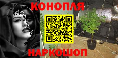 винт Сланцы