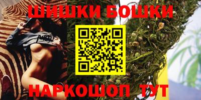 стаф Славгород