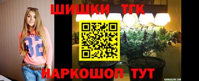 стаф Славгород