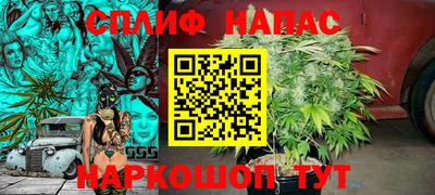 стаф Славгород